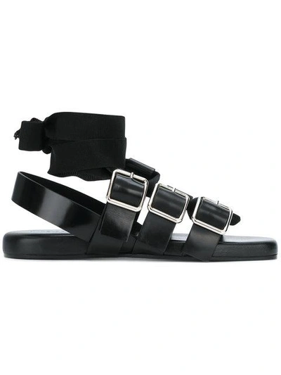 Jil Sander Ankle-wrap Buckled Sandals In Black