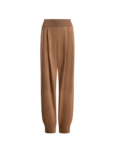 12 Storeez Jasmin Pleated Trousers In Brown