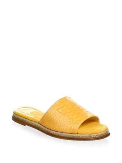 Alexandre Birman Shelby Leather Slide Sandal In Marigold