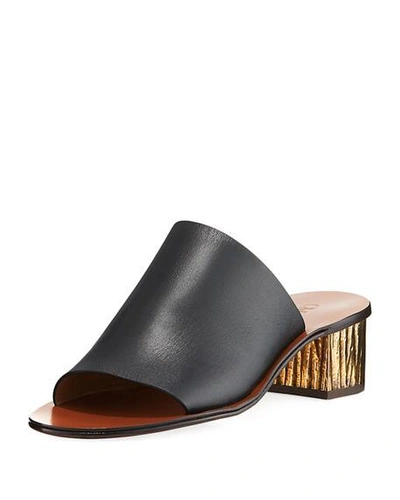 Chloé Qassie Leather Block-heel Mule Sandal In Black