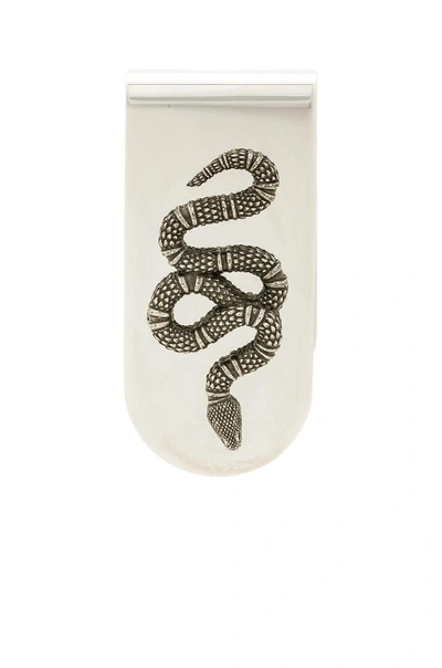 Gucci Money Clip With Snake In Silver In Undefined