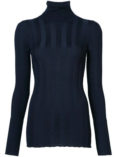 Derek Lam Inez Long Sleeve Turtleneck Jumper In Blue