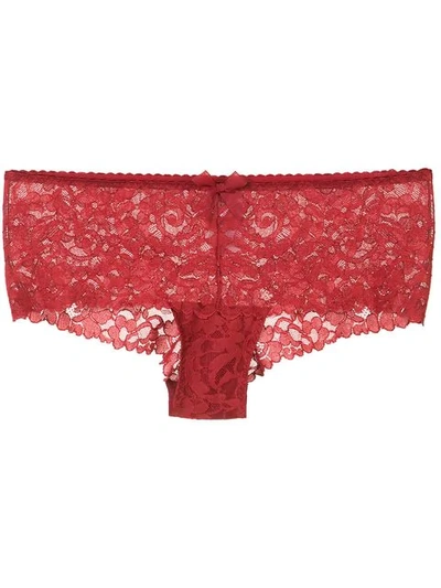 Wolford Lace Knickers In Red