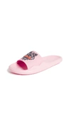 Kenzo Tiger Pool Sandals In Flamingo Pink