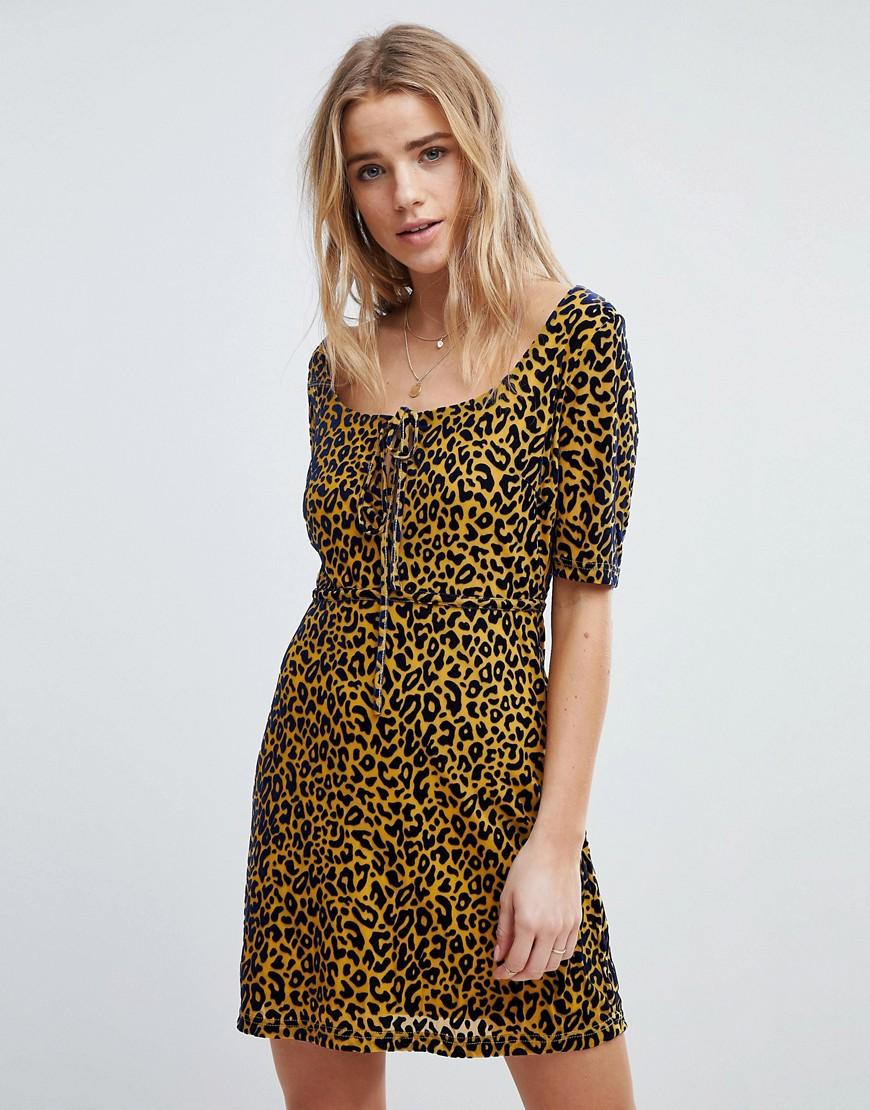 honey punch leopard dress