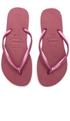 Havaianas Slim Sandal In Fuchsia