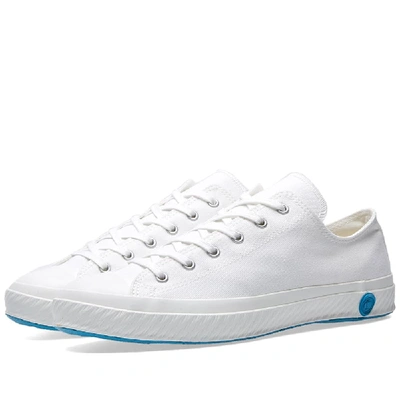Shoes Like Pottery 01jp Low Trainer In White
