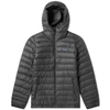 PATAGONIA Patagonia Down Sweater Hoody,84701-FGE6