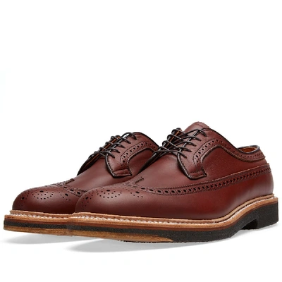 Alden Shoe Company Alden Long Wing Blucher In Brown