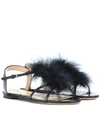 CHARLOTTE OLYMPIA FIFI FEATHER-TRIMMED LEATHER SANDALS,P00288815