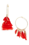 GAS BIJOUX MARLY FEATHER DROP EARRINGS,AMARLY/O/PL