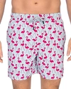 Tom & Teddy Flamingo Print Swim Trunks In Fuschia