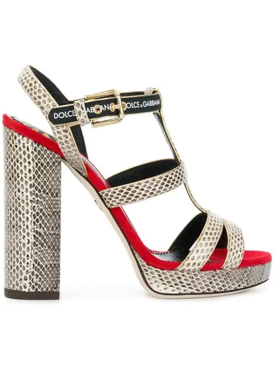 Dolce & Gabbana Stone Ayers And Red Suede Signature Platform Sandals