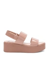 STEVE MADDEN RACHEL PLATFORM SANDAL,RACH01S1