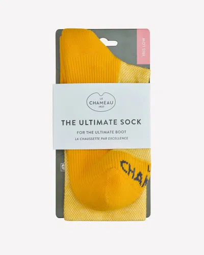 Le Chameau The Ultimate Socks Low - Jaune - M In Brown