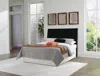 Ashley Danziar Queen Panel Headboard In Black