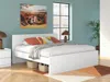 Ashley Onita King Panel Platform Bed In White