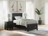 Ashley Lanolee Twin Panel Storage Bed In Black
