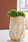 Ashley Cammen Vase In Brown