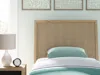 Ashley Cielden Twin Panel Headboard In Multi