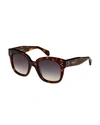 Celine Square Polarized Acetate Sunglasses, Blue Pattern In Brown Pattern