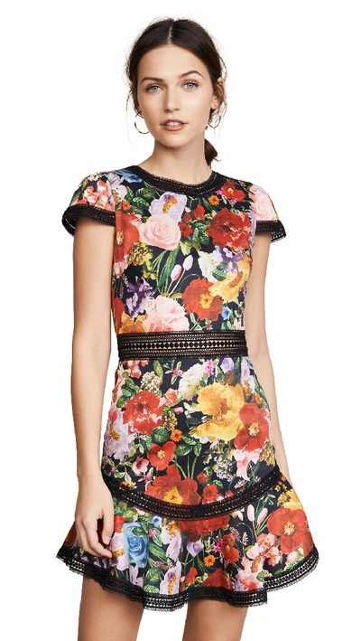 Alice and olivia rapunzel dress hotsell