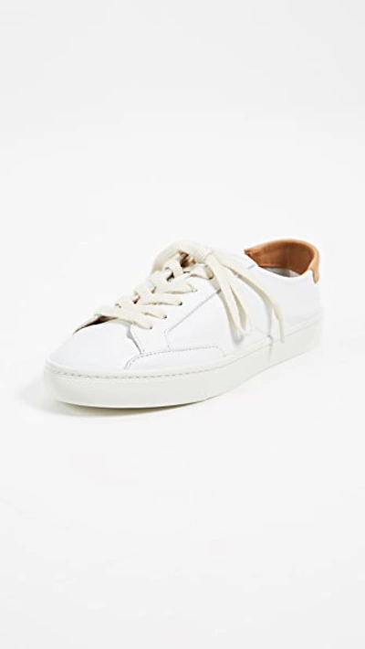 Soludos Ibiza Classic Lace Up Sneakers In White