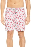 Tom & Teddy Flamingo Print Swim Trunks In Fuchsia