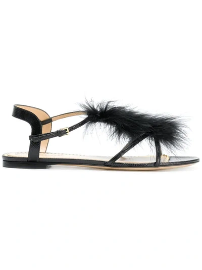 Charlotte Olympia Fifi Feather-trimmed Leather Sandals In Black