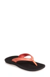 Olukai 'kulapa Kai' Thong Sandal In Coral/ Black