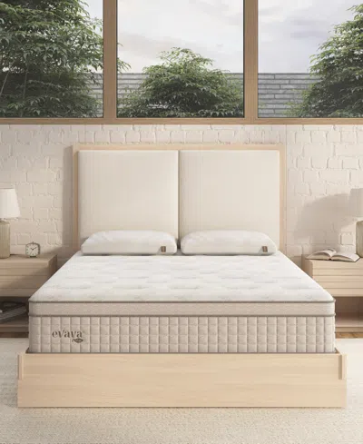12park Evaya 12" Bliss Plush Euro Top Mattress In A Box In Transparent
