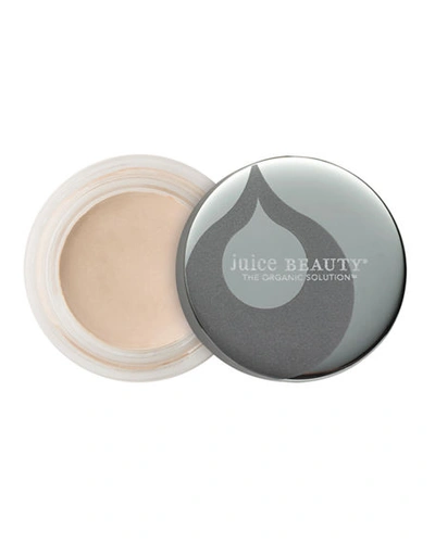 Juice Beauty Phyto-pigments Perfecting Concealer In 02 Fair