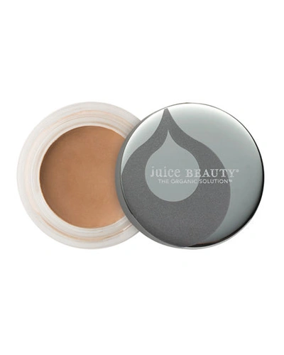 Juice Beauty Phyto-pigments Perfecting Concealer In 23 Medium Tawny