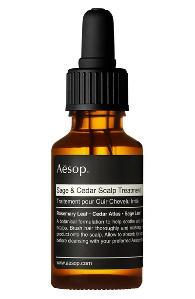 Aesop 0.8 Oz. Sage & Cedar Scalp Treatment In Colorless