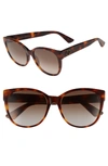 GUCCI 56MM POLARIZED CAT EYE SUNGLASSES,GG0097S21556