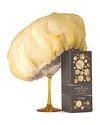 DRYBAR THE MORNING AFTER SHOWER CAP,900-0265-1