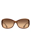 Maui Jim Women's Nalani Polarized Square Sunglasses, 61mm In Tortoise/ White/ Blue