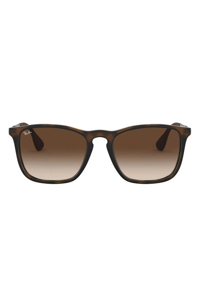 Ray Ban Ray-ban Unisex Rubberized Youngster Wayfarer Sunglasses, 54mm In Brown