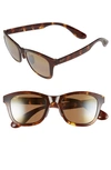 Maui Jim Hana Bay 51mm Polarizedplus2® Square Sunglasses In Tokyo Tortoise/ Hcl Bronze