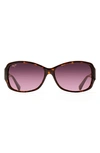 Maui Jim Nalani 61mm Polarized Square Sunglasses In Pink Polarized