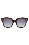 Celine Square Polarized Acetate Sunglasses, Blue Pattern In Red Havan/ Smoke