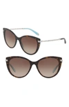 Tiffany & Co 55mm Gradient Cat Eye Sunglasses - Blue Havana