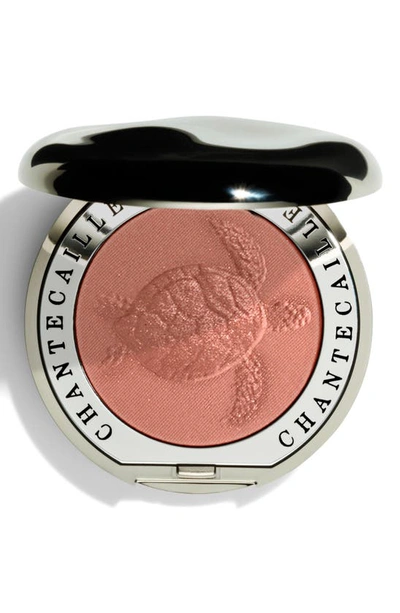 Chantecaille Philanthropy Cheek Shade Blush In Grace - Sea Turtle