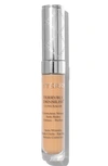 BY TERRY TERRYBLY DENSILISS® CONCEALER,200013812