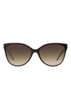 Tiffany & Co 58mm Gradient Cat Eye Sunglasses In Havana