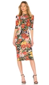 ALICE AND OLIVIA DELORA FITTED DRESS