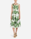 DOLCE & GABBANA PRINTED COTTON DRESS,F69P1TFSEGIHAP58