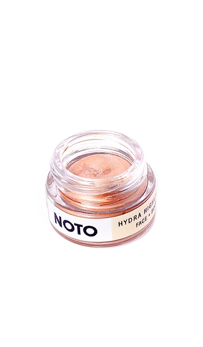 Noto Botanics Hydra Highlighter In All