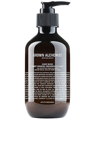 Grown Alchemist 16.9 Oz. Hand Wash (lg) - Sweet Orange/cedarwood/sage In Sweet Orange  Cedarwood & Sage
