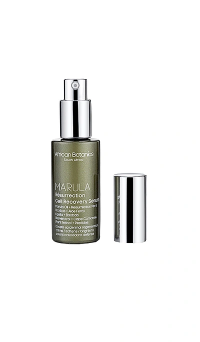 African Botanics Resurrection Cell Recovery Serum In N,a